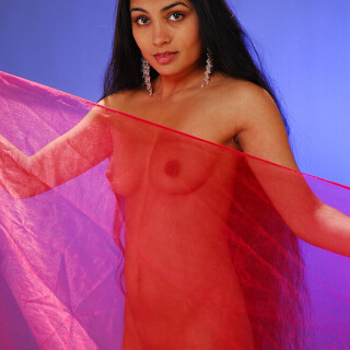 Sheera3909a0585797ec5